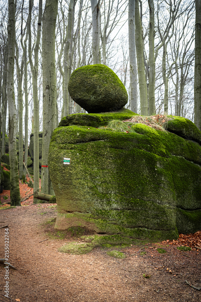 Obraz premium A granite boulder rests on a larger rock formation. It is covered in green moss and surrounded by tall, bare trees. The scenery shows the natural beauty of the forest.