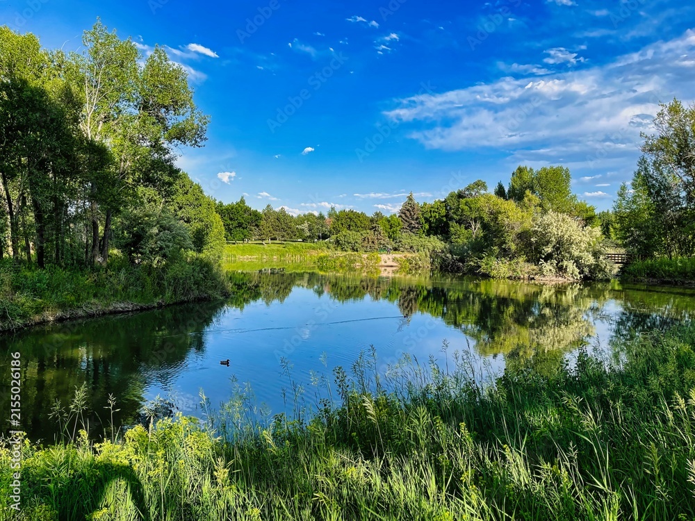 Fototapeta premium Serene Setting in Early Summer on the Fishing Pond in the Nature Park in Rexburg Idaho.