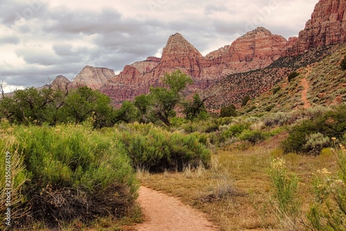 Cloudy Skies over the Red Rock Towers of Zion National Park as Seen from a Trail in Springdale Utah.