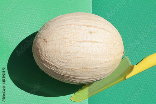 cucumis melon on a green background