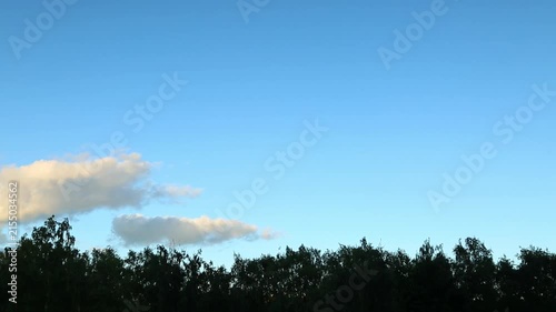 Cloudscape in clear blue evening sky under the summer green trees background. Timelapse