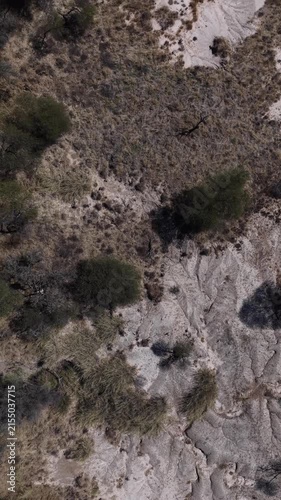 textured ground