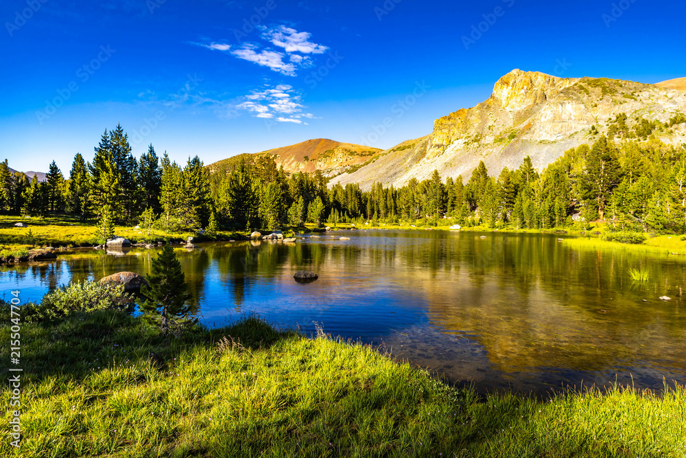 Naklejka premium Mount Dana Reflecting in Clear Lake Waters at Sunset in Yosemite National Park