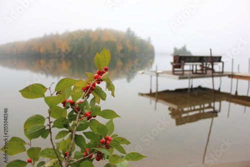 Фотография Vue d'un quai sur un lac calme par un matin brumeux en automne