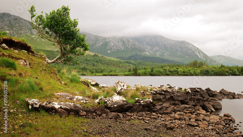 Cuadro en lienzo Tranquil morning light over Lough Inagh in Connemara National Park, calm lake re