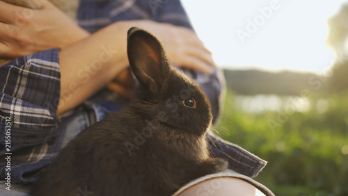 A woman holds a rabbit gently in her hand as the sun sets in the background. The sun casts a warm glow on the woman and her rabbit, creating a serene atmosphere.