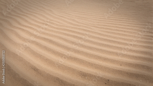  siltstone ripple marks in textured desert background