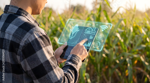 Smart farmer monitoring corn crop health using futuristic holographic digital tablet interface for advanced precision agriculture and farm management