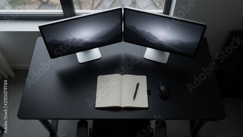 a computer dual monitor