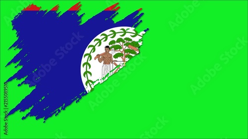 Belize Flag Brush Stroke Animation, Belizean National Flag Paint Effect, Blue Red White Patriotic Background 4K