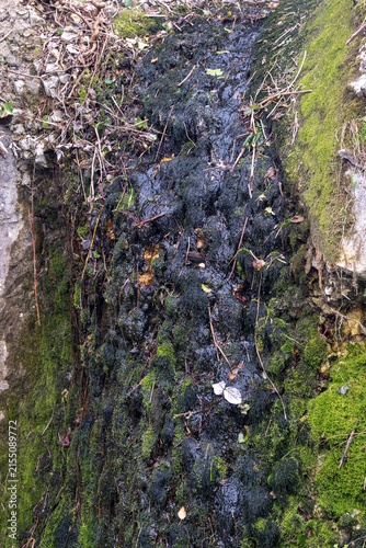 Картината върху платно A mossy rock with a stream of water running down it