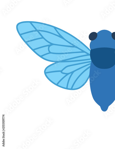 Blue cicada insect illustration with detailed wings.