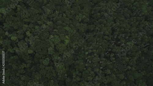 Aerial drone footage of Mount Fuji and lake Yamanaka on a summer morning, Yamanashi