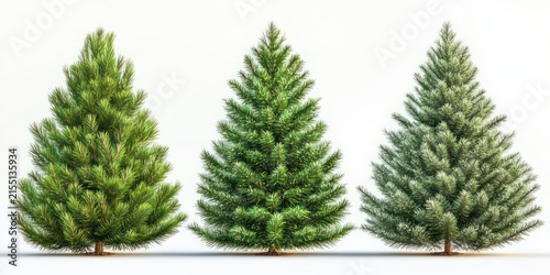 Three lush evergreen conifer trees standing side by side on a clean white background, evoking a calm, fresh and natural mood