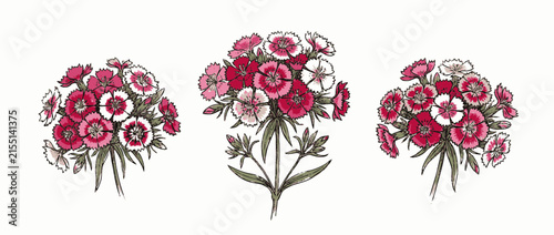 Pink and Red Floral Bouquets Illustration