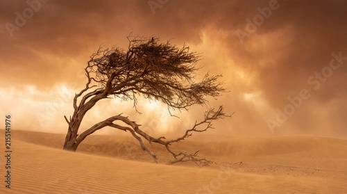 Solitary windswept tree standing against a fierce sandstorm in the desert dunes with dramatic golden light and dust