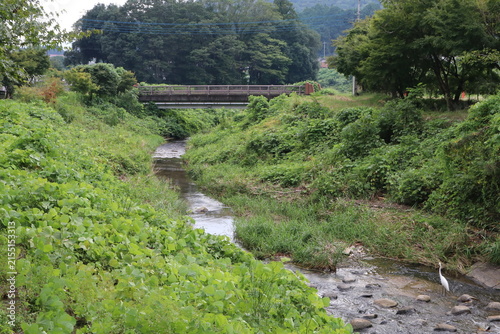 Bild auf Leinwand 月待の滝から流れ出た小川。