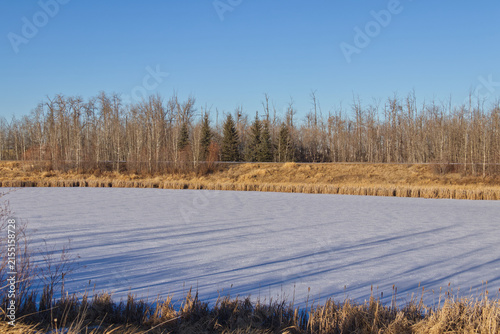 Pylypow Wetlands in Early Winter 