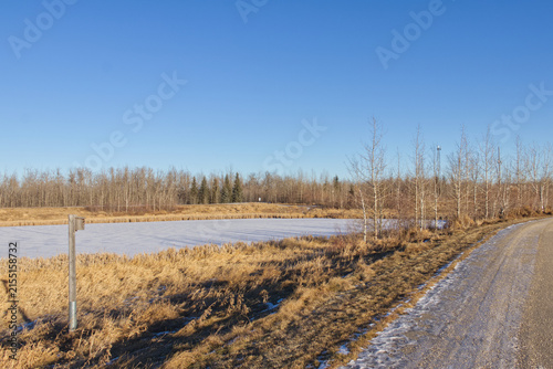 Pylypow Wetlands in Early Winter 
