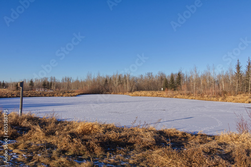 Pylypow Wetlands in Early Winter 
