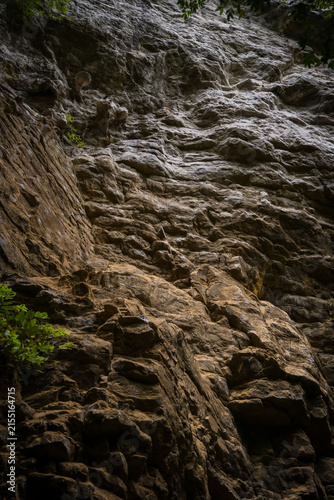 View of the rugged limestone rock face at Reserve speciale d'Ankarana with textured stone surfaces and patches of green vegetation in Diana, Madagascar.
