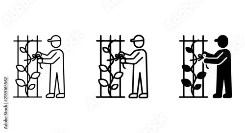 Gardener Tending Vine Trellis, Icon Set: Line Art, Outline, Silhouette, Plant Care