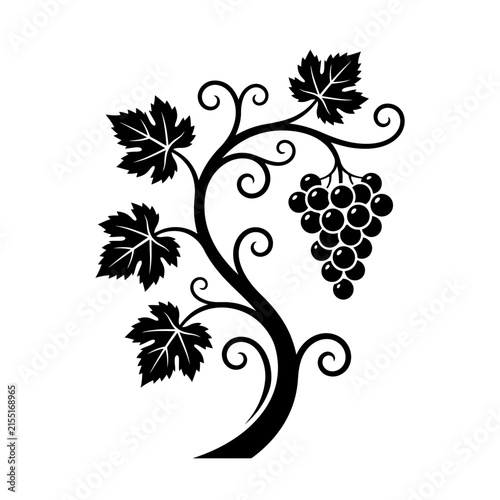Black grapevine silhouette with leaves.
