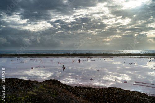 Los trabajadores están llevando la sal en sus carretillas desde la madrugada en las Salinas de Pampatar.
