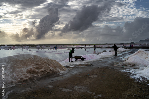 Los trabajadores de las Salinas de Pampatar están llevando en sus carretillas la sal de la laguna.
