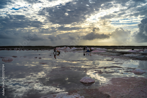 Los trabajadores de las Salinas de Pampatar están llevando la sal de la laguna en sus carretillas.
