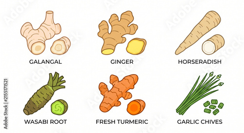 Pungent Roots and Spicy Culinary Aromatics Flat Vector Icon Set
