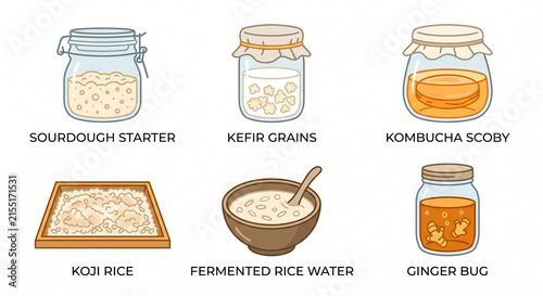 Artisanal Fermentation Starters and Cultures Flat Vector Icon Set
