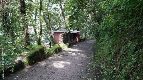 Canvastavla A rustic stone pathway leading to a red shed amidst lush greenery, with moss-cov