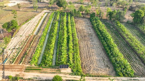 Foto Drone view of a sustainable banana plantation with irrigation canals, solar powered water management, and diversified crop fields
