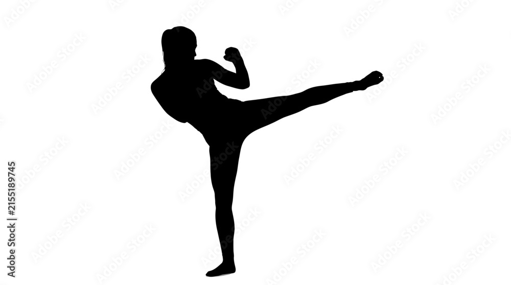Fototapeta premium Dynamic karate martial arts fighter performing a powerful high kick movement in this black silhouette vector graphic design isolated against a plain white solid backdrop