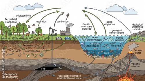 Natural carbon cycle diagram showing biological and industrial processes with ecosystem environment atmosphere biological geological emissions industry photosynthesis respiration combustion