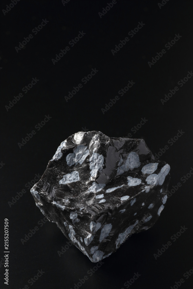 Fototapeta premium Snowflake Obsidian