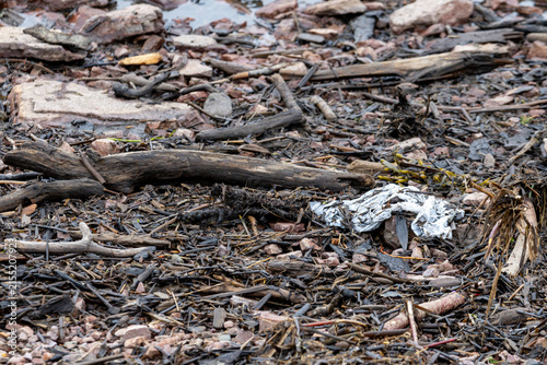 Foto Gaspesie, Quebec, 06 June 2026 : Various natural debris and discarded waste litter a muddy, rocky shoreline