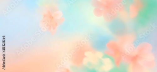 Dreamy Soft Focus Floral Peach Pink Floating Flowers Pastel Gradient Bokeh Ethereal