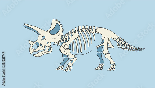 Dinosaur skeleton fossil of a triceratops, depicted in cream and blue colors on a solid light blue background for educational purposes.