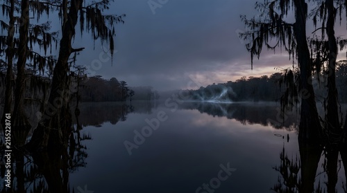 A hauntingly beautiful and atmospheric landscape depicts a dark misty swamp scene with spanish moss creating an eerie mysterious and somewhat ominous vibe perfect