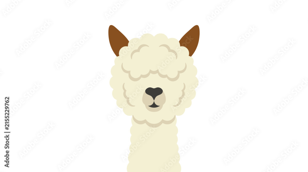 Obraz premium Cute alpaca face with fluffy wool