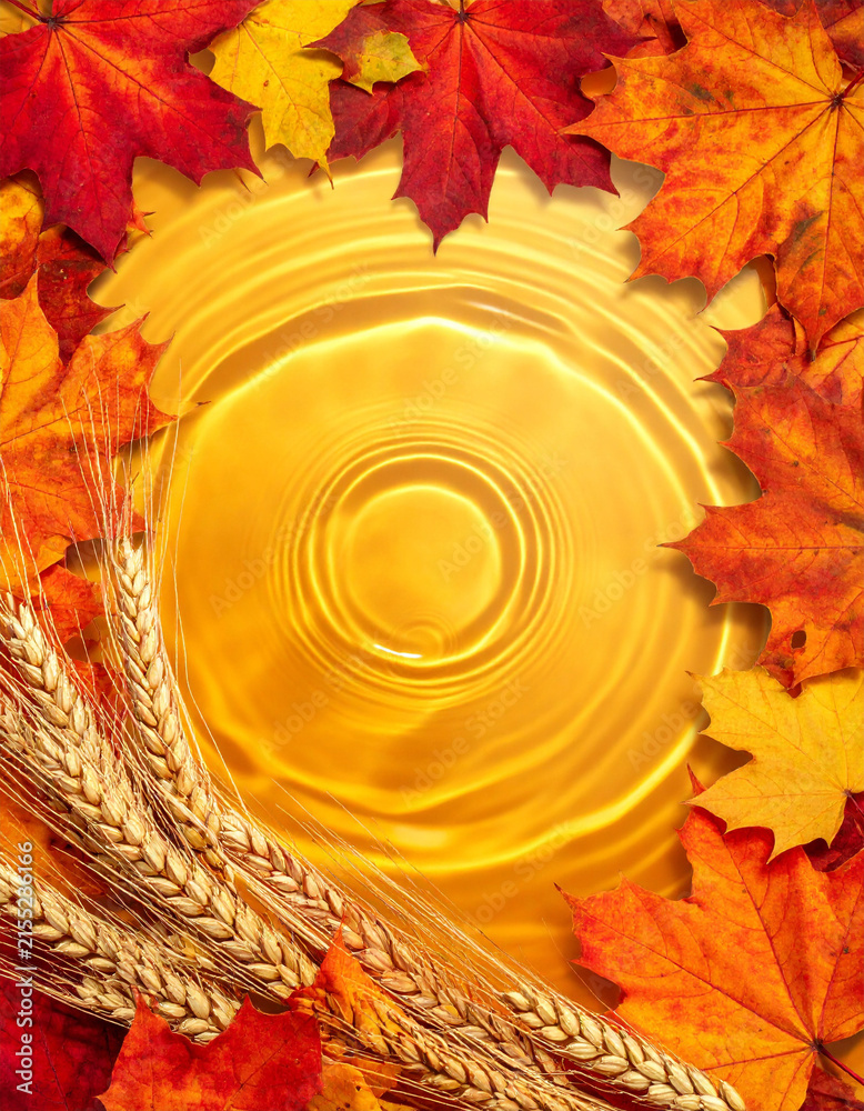Fototapeta premium 紅葉したカエデの葉と黄金色の波紋が広がる水面の背景 秋の収穫をイメージした麦の穂とコピースペース付きの季節感あふれるフレーム素材 チラシやバナー広告に使用可能な秋らしい自然の装飾デザイン