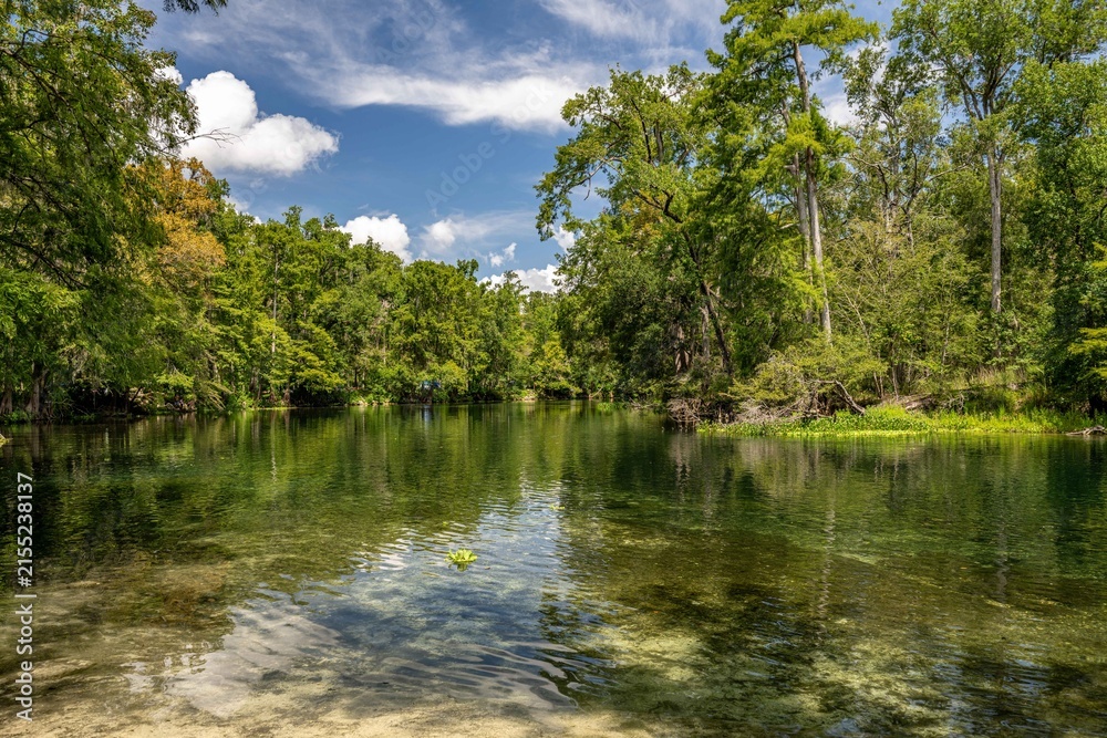 Obraz premium Ginnie Springs and Santa Fe River, Florida