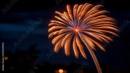 Golden palm tree shaped firework display exploding in the dark night sky with firework