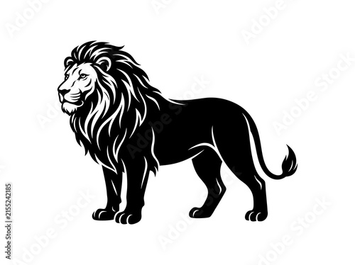 Photography lion vector illustration