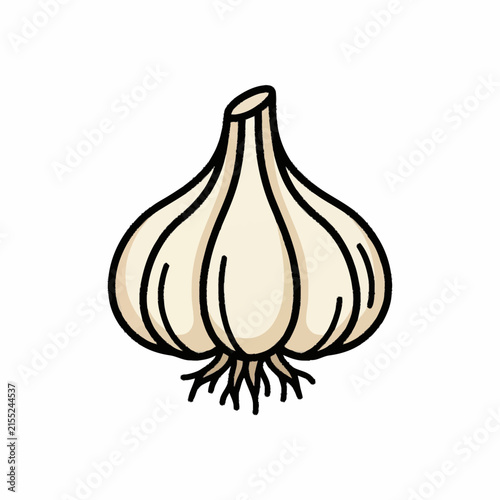 Hand-drawn illustration of a single garlic bulb