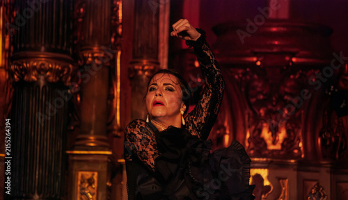 A dancer dances flamenco with passion and gives emotions to her dear friends