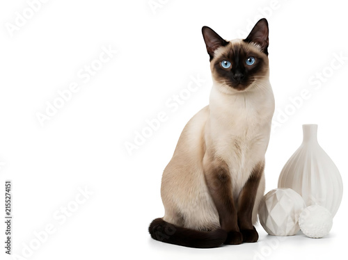 Siamese cat sitting elegantly beside a small cluster of subtle white decorative shapes, cream body with sharply defined dark seal points, brilliant blue eyes, pristine white background