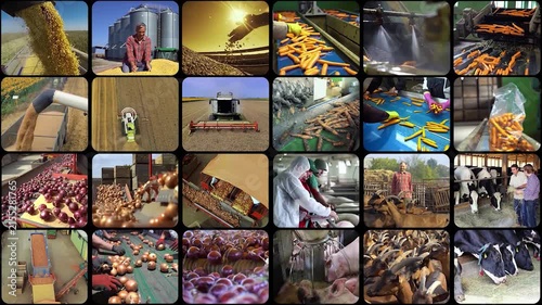 Mega Split Screen Corporate Video - From Renewable Energy and Modern Manufacturing to Bio Agriculture. Global Industry and Farming Multi-Window Montage.